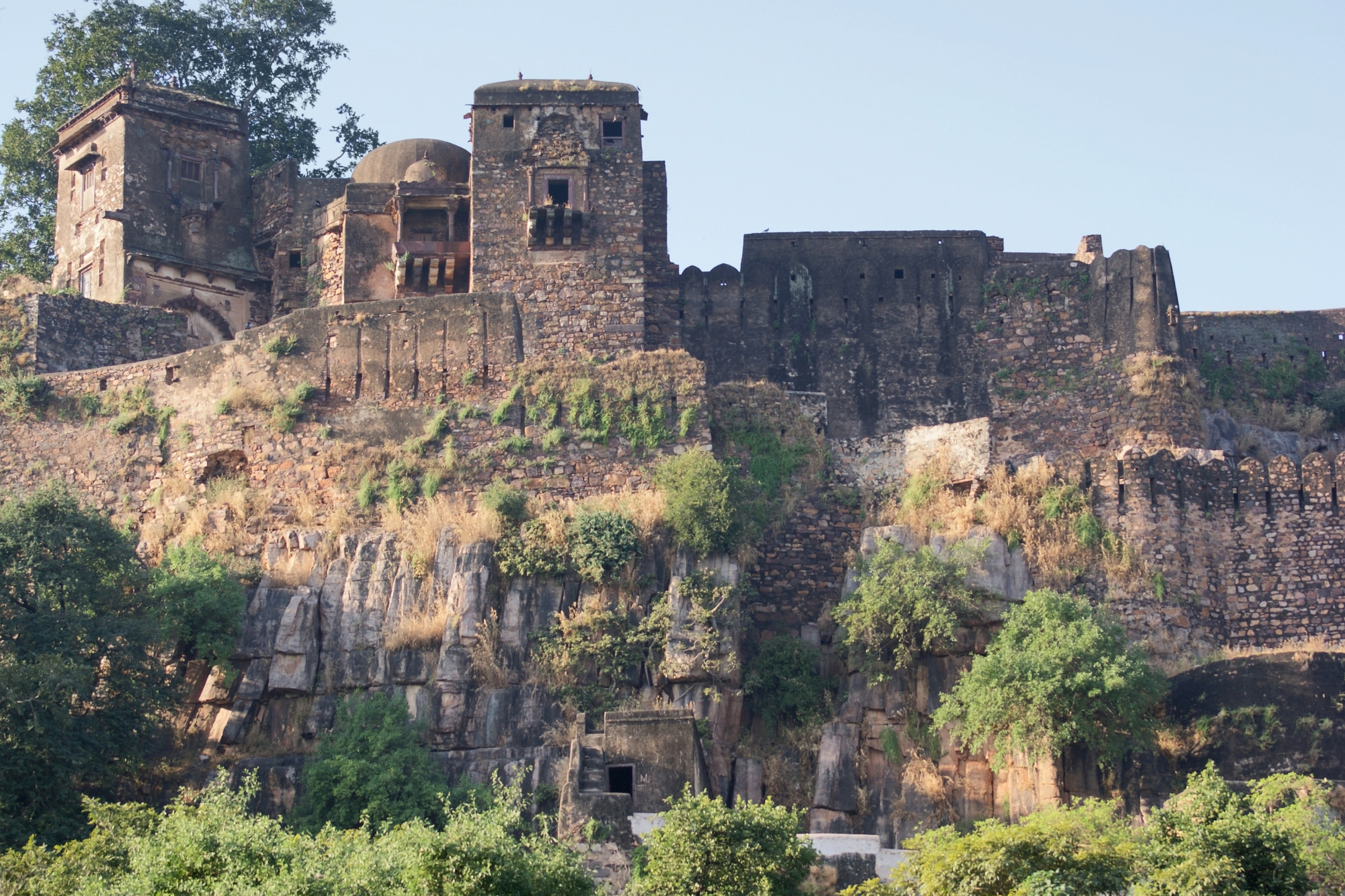ranthambore national park (4).webp